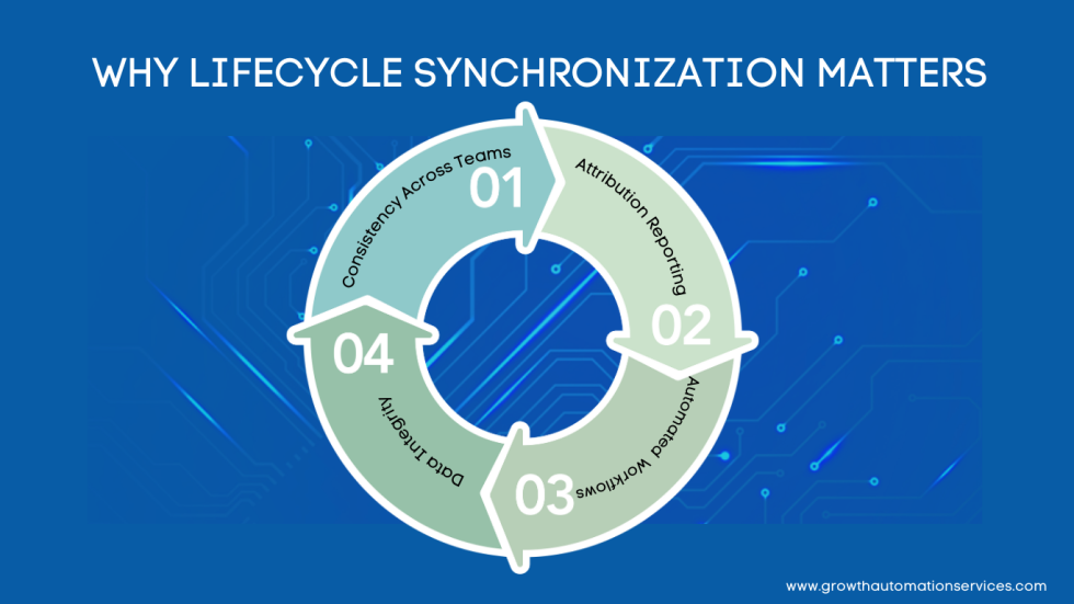 Illustration of lifecycle synergy